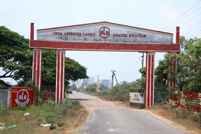 Plot View
