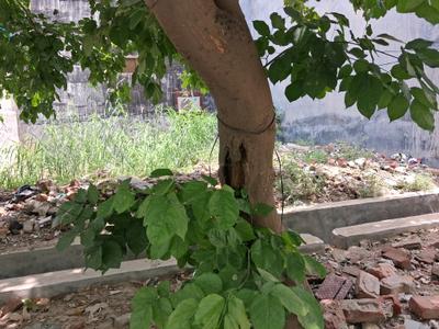Image of 456 Sq.ft Residential Plot / Land for sale in Sector 45, Noida for Rs. 130000000