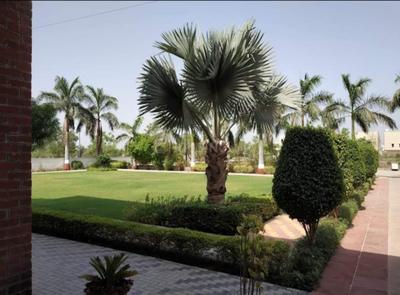 Image of 2400 Sq.ft Residential Plot / Land for sale in Kalali, Vadodara for Rs. 13200000