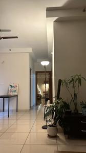 Hall Image of 1500 Sq.ft 3 BHK Apartment / Flat for sale in Tardeo Mumbai for Rs. 97500000