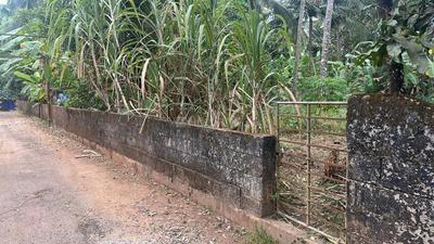 Image of 5880 Sq.ft Residential Plot / Land for sale in Viyyoor, Thrissur for Rs. 9585000