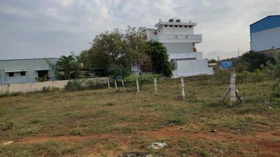 Ruban Plot View 1
