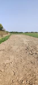 Sector A Plot View 2
