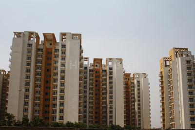 Building Image of 1800 Sq.ft 3 BHK Apartment / Flat for sale in BPTP Park Grandeura, Sector 82 Faridabad for Rs. 21000000