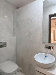 Common Bathroom Image of 2850 Sq.ft 3 BHK Apartment / Flat for sale in Jayanagar Bengaluru for Rs. 62500000