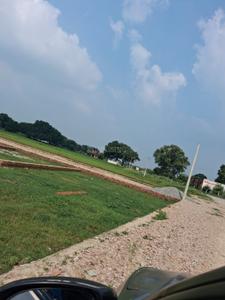 Barai Plot View 3