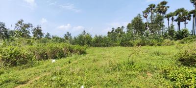 Image of 1060 Sq.ft Residential Plot / Land for sale in Bhogapuram, Vizianagaram for Rs. 7500000