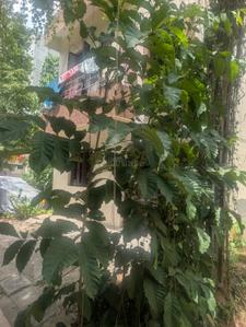 Image of 600 Sq.ft Residential Plot / Land for sale in Kasturi Nagar, Bengaluru for Rs. 15600000
