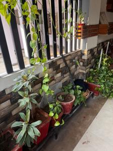 Balcony Image of 1350 Sq.ft 2 BHK Apartment / Flat for sale in Sudama Nagar Indore for Rs. 6900000