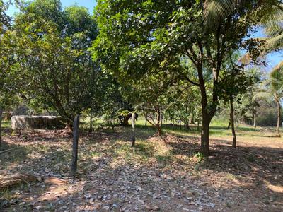 Image of 12000 Sq.ft Residential Plot / Land for sale in Nagaon, Alibag for Rs. 14400000