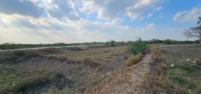 Image of 14000 Sq.ft Residential Plot / Land for sale in Lothal, Ahmedabad for Rs. 22500000