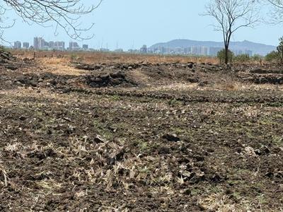 Invest Mahamumbai Plots In Uran Plot View 3