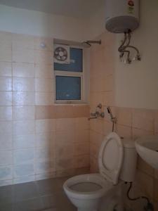 Common Bathroom Image of 1319 Sq.ft 3 BHK Apartment / Flat for rent in Jaypee Aman, Aurangabad Noida for Rs. 19000