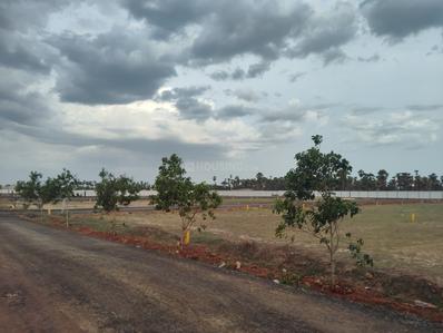 Image of 1818 Sq.ft Residential Plot / Land for sale in Bapatla Town, Bapatla for Rs. 303000