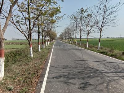 Image of 1200 Sq.ft Residential Plot / Land for sale in Bihta, Patna for Rs. 838800