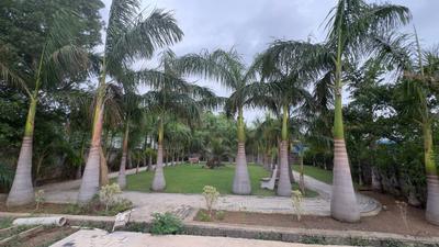 Image of 512 Sq.ft Residential Plot / Land for sale in Daldal Seoni, Raipur for Rs. 1587200
