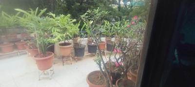 Balcony Image of 3500 Sq.ft 5 BHK Villa for sale in Pimple Nilakh Pune for Rs. 85000000