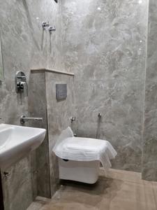 Common Bathroom Image of 700 Sq.ft 2 BHK Apartment / Flat for sale in Dream Ultra Luxury, Mahavir Enclave New Delhi for Rs. 5500000