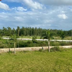 Image of 600 Sq.ft Residential Plot / Land for sale in Aranya City Of Woodland, Pacheda 1, Raipur for Rs. 531000