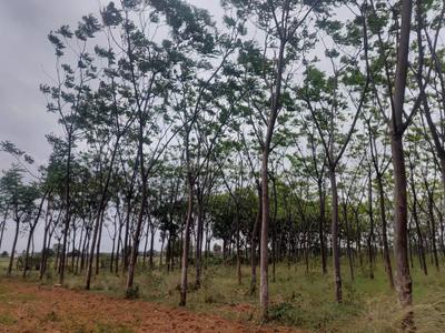 Image of 12015 Sq.ft Residential Plot / Land for sale in Amangal, Ranga Reddy for Rs. 6141000