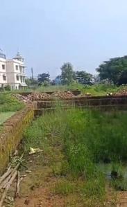 Image of 1450 Sq.ft Residential Plot / Land for sale in Uttara, Bhubaneswar for Rs. 5075000