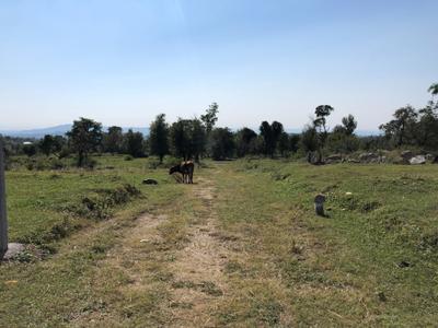 Image of 270 Sq.ft Residential Plot / Land for sale in Loharkadi Upper Sudher, Kangra for Rs. 500000