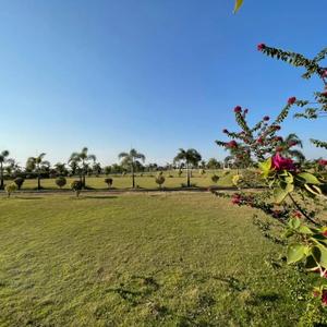 Image of 590 Sq.ft Residential Plot / Land for sale in Aranya City Of Woodland, Pacheda 1, Raipur for Rs. 590000