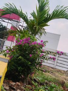 Image of 1200 Sq.ft Residential Plot / Land for sale in Thatchoor, Chennai for Rs. 1968000