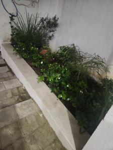 Image of 500 Sq.ft 1 BHK Builder Floor for rent in Jaganath Vihar, Puri for Rs. 8000