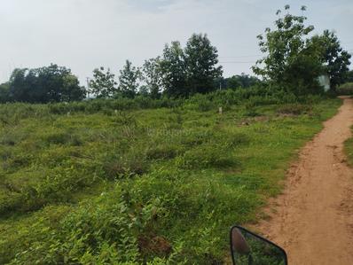 Image of 1568 Sq.ft Residential Plot / Land for sale in Andharua, Bhubaneswar for Rs. 2500000