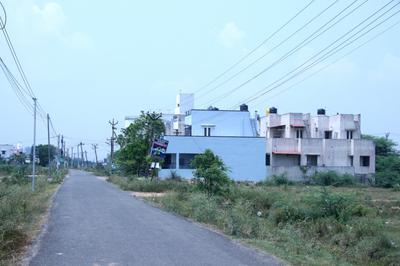 Plot View