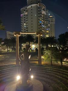 Image of 2633 Sq.ft 3.5 BHK Apartment / Flat for sale in Bawadiya Kalan, Bhopal for Rs. 35000000