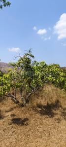 Image of 5989 Sq.ft Residential Plot / Land for sale in Ramanagara, Bengaluru for Rs. 7181431