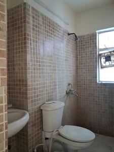 Common Bathroom Image of 1591 Sq.ft 3 BHK Apartment / Flat for sale in Paras Tierea, Sector 137 Noida for Rs. 14000000