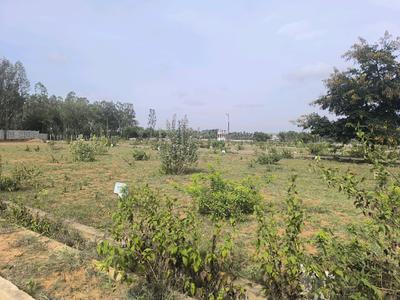 Image of 1350 Sq.ft Residential Plot / Land for sale in Hoskote, Bengaluru for Rs. 3780000