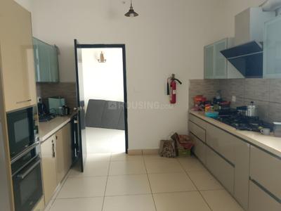 Kitchen Image of 1755 Sq.ft 3 BHK Apartment / Flat for sale in Prestige Ferns Residency by Prestige Projects Pvt Ltd, Harlur Bengaluru for Rs. 39500000