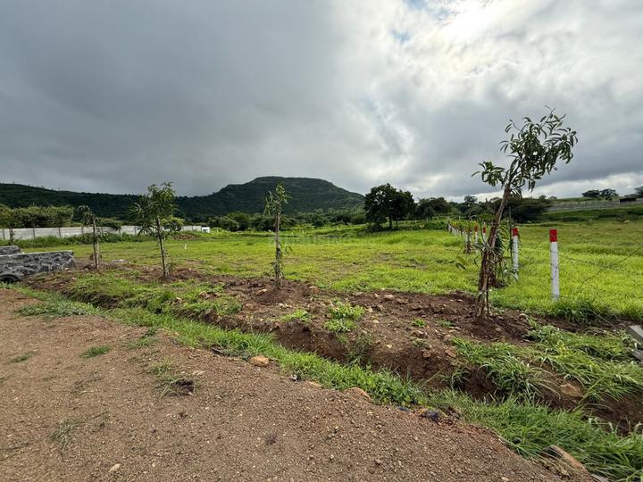 Anjaneri Main Image 1