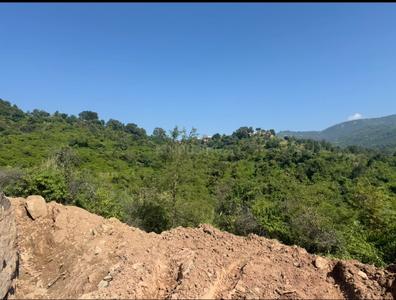 Image of 10000 Sq.ft Residential Plot / Land for sale in Baddi, Solan for Rs. 13500000