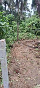 Image of 7480 Sq.ft Residential Plot / Land for sale in Cheroor, Thrissur for Rs. 14250000