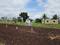 Wagheshwar park Plot View 2