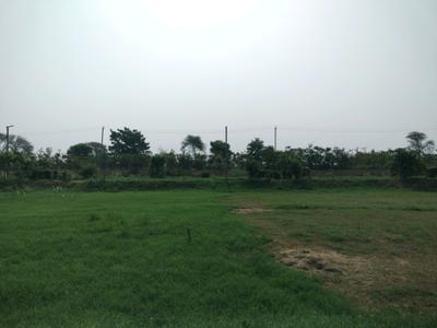 Image of 130 Sq.ft Residential Plot / Land for sale in Adore Smart City 2, Tajupur, Faridabad for Rs. 16900000