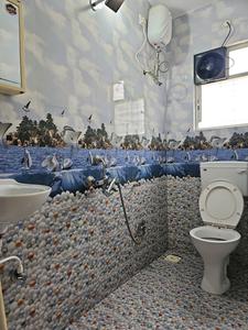 Common Bathroom Image of 950 Sq.ft 2 BHK Apartment / Flat for rent in Manjari Budruk Pune for Rs. 12000