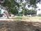 Sector 75 Plot View 2