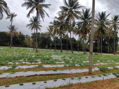 Image of 91200 Sq.ft Residential Plot / Land for sale in Rajanukunte, Bengaluru for Rs. 150000000