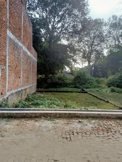 Naubasta Kala Main Image 1