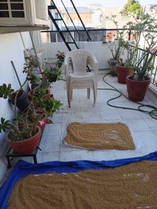 Balcony Image of 1500 Sq.ft 3 BHK Independent House for sale in Diwalipura Vadodara for Rs. 8500000