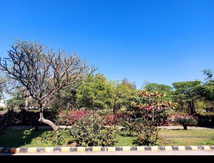 Treasure Town Main Image 1