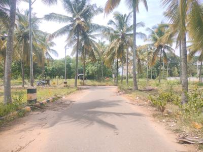 JR Coconest Prime Internal Roads 2