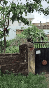 Image of 435 Sq.ft Residential Plot / Land for sale in Pandra, Ranchi for Rs. 2100000