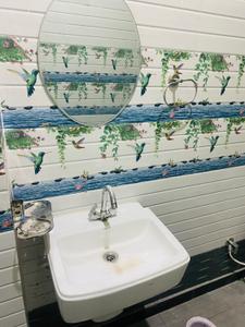 Bathroom Image of 2674 Sq.ft 2 BHK Apartment / Flat for rent in Sector 14 Hisar for Rs. 12000
